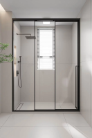 Душевая дверь раздвижная PR3/L-120-01-B-C4 1200x2000 Цвет профиля Чёрный матовый Стекло Прозрачное Veconi